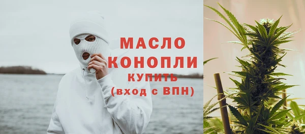 индика Богданович